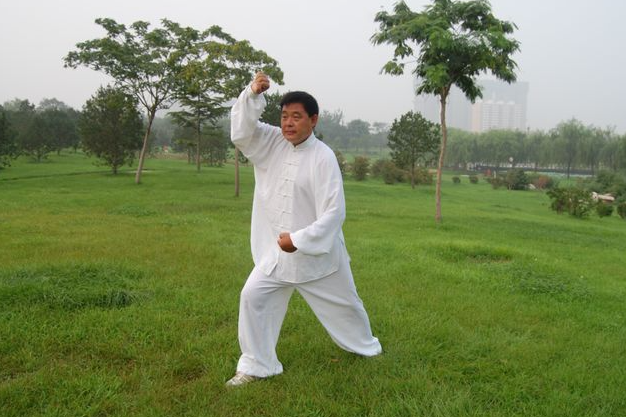 Exploring the Serene Art of Tai Chi Chuan: A Journey Through Movement and Balance in Chicago