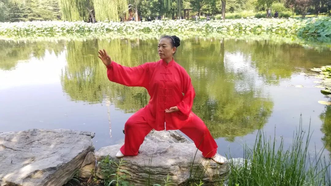 What is Tai Chi: Unraveling the Art of the Man of Tai Chi and the Mastery of Jet Li