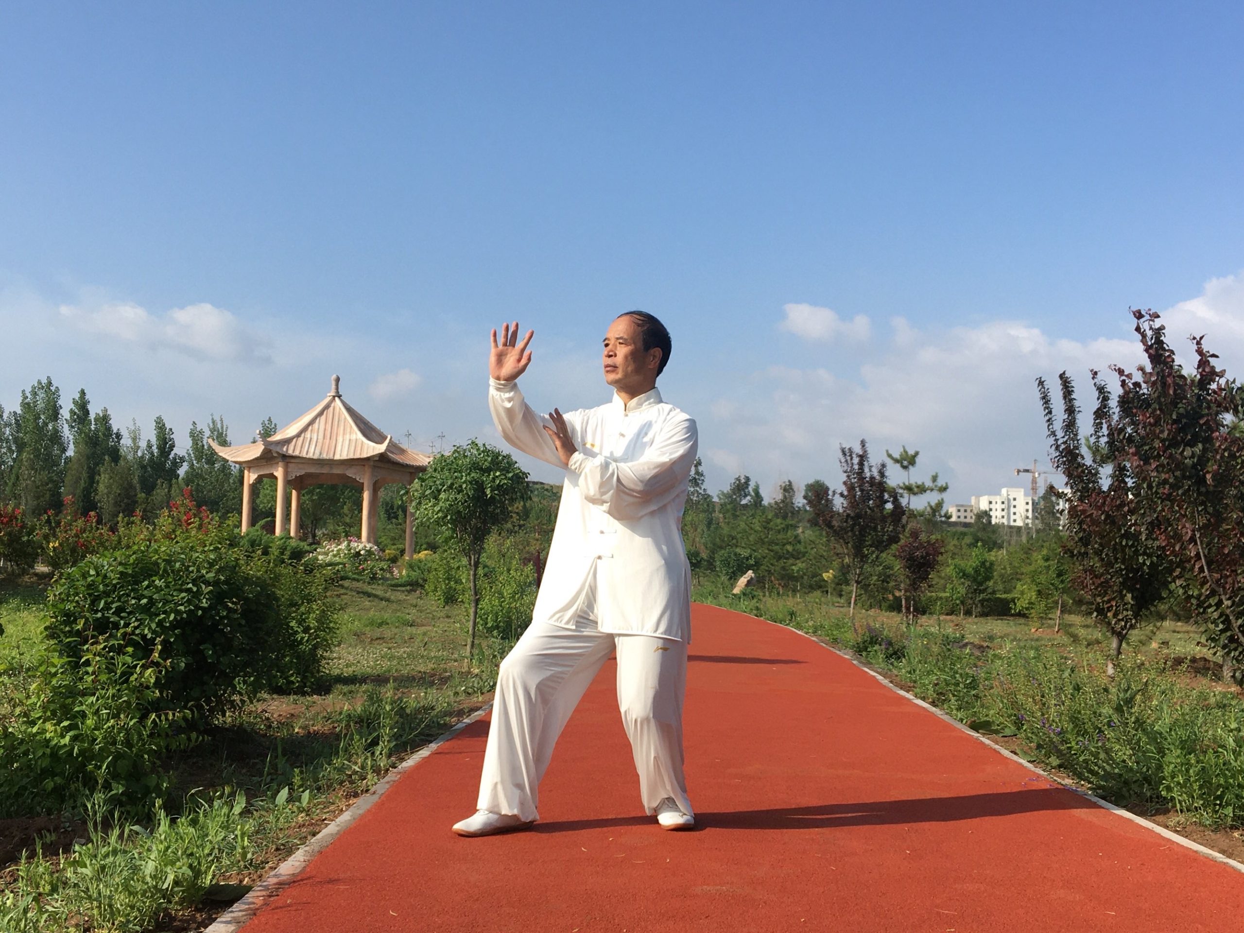 Tai Chi for Beginners: Unfolding the Mysteries of this Ancie