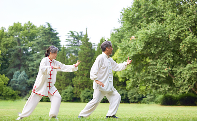 Unveiling the Art of Learning Tai Chi: A Journey into the Meaning of Tai Chi Chuan